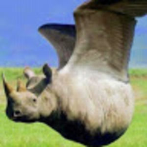 Meet your Posher, Lucas